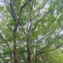 무주조은펜션 이미지