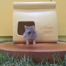 털뭉치즈 이미지