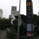 피그맘 네이버블로그