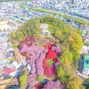 전주 완산 칠봉 꽃동산 이미지