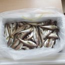 묵호동행정복지센터 이미지