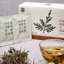 발효약초