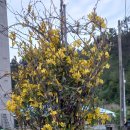 해풍민박 이미지