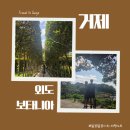 외도보타니아 | [Day 6/거제] 가을 국내 여행 추천 - 외도 보타니아 후기