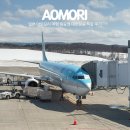768 | 일본 아오모리 여행 항공권 대한항공 직항 KE767 KE768 후기
