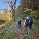 고려장골 이미지