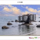 배미꾸미 조각공원 버들선생 장노출 이미지