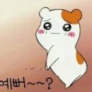 에스와이엘