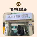 수곡로67번길(2-161) | 청주 파충류샵 도마뱀 분양 전문점 파충류샵 게코나무숲 , 초보자도 안심하고 입양하는 곳