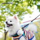 AIR PET 이미지