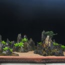 산수이용 Daum카페