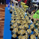 구미거북복싱 이미지