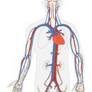 스카이뷰휘트니스 이미지
