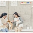 Cafe  몽스파 이미지