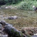 비룡민박 이미지