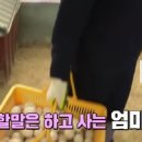 박규철농장 티스토리