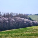 황금농축산 이미지