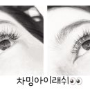 차밍아이래쉬