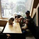 쁘띠시앙 이미지