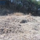 법수면사무소 이미지