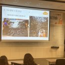 어린화가 미술교실 이미지