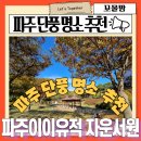 파주 단풍 명소 추천 자운서원 율곡이이 유적 단풍 나들이 11.1단풍현황