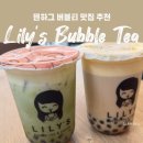 Bubble pop | 덴하그 버블티 맛집 추천 | 현지인·관광객 모두 반한 Lily&#39;s Bubble Tea 후기