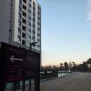 [내돈내산] 도미니클라바 투룸 프리미어 디럭스 더블 룸 찐후기 (체스터톤스 투룸 프리미어 디럭스 더블...
