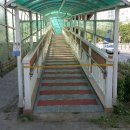 벌말초 앞 육교 이미지