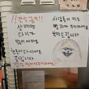 대림애견 이미지