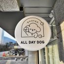 올데이독 이미지