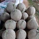 용소농장 이미지