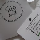 제주댕댕스푼 이미지