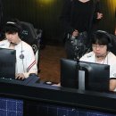 와일드캣츠