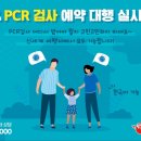 (주)신세계여행사 - 제주시 | (주)신세계여행사