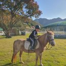 연천승마공원 이미지