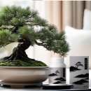 The 편한 약국 | 스트레스와 긴장 관리에 도움되는 프리미엄 한방환 “심평환 2026 The Premium”