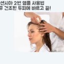 에센시아 이미지
