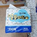 도그버디명일