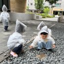 해1반 ☔ 비옷 입고 빗놀이 활동 ☔ 이미지