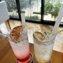 해류뭄해리 이미지