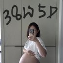 멍타주 | 담담이 탄생 그리고 출산 후 솔직한 심경(제왕절개 수술 후기)