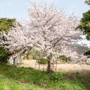 가우도 펜션마을 이미지