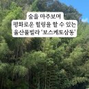 보스케토 삼동 이미지