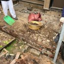 서들1길 이미지