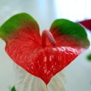 서천공원 이미지