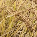 상읍농장 이미지