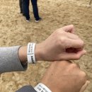 무료영화 상영 <드림걸즈> | 속초국제음식영화제 상영시간표 접수방법 주차장 후기