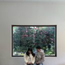 소소링제주2 이미지