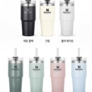 (주)뉴메가 | 스탠리 473ml 빨대 텀블러 후기 (민트색) &amp; 쿠팡 텀블러종류 대용량 텀블러
